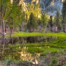 Valley Floor